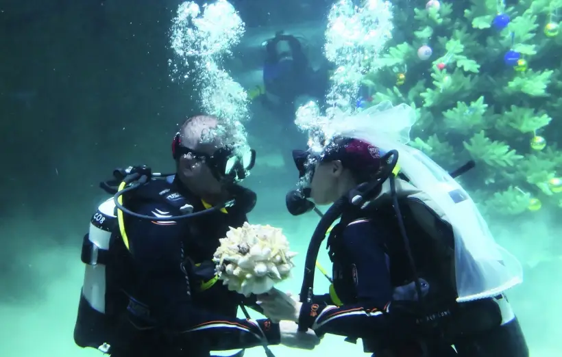 Менее 50% столичных молодоженов для свадьбы выбирают белое платье и костюм. Фото. © РИА Новости. Илья Питалев