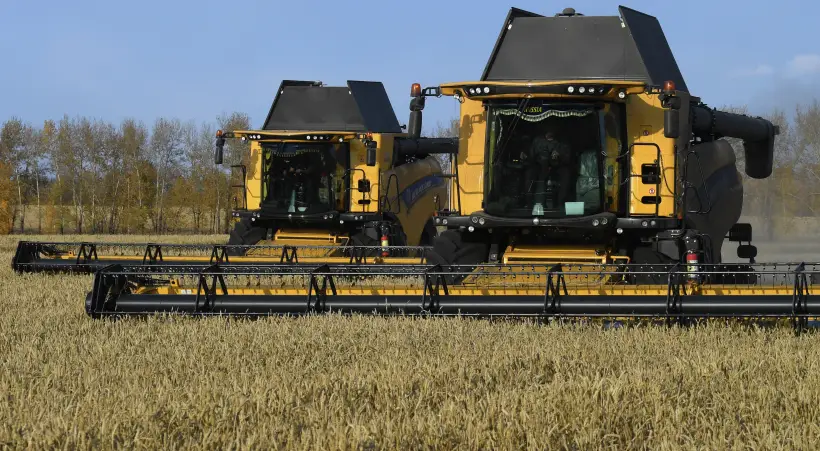 Челябинская область в 2025г собрала почти 2,3 млн т зерна. Фото. © РИА Новости. Илья Наймушин