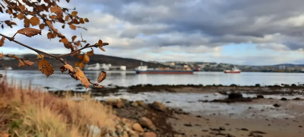 Осень в Мурманской области оказалась самой теплой за 90 лет