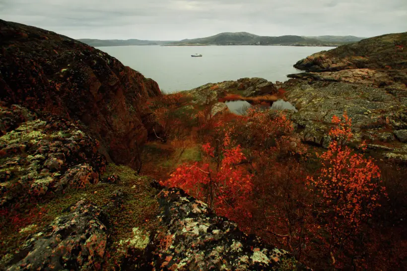 Растения и животные в Мурманской области реагируют на аномально теплую осень – ученый. Фото. © РИА Новости. Юлий Ахромеев