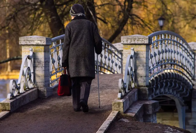 Сбор предложений по благоустройству территорий стартовал в Ленобласти. Фото. © РИА Новости. Алексей Даничев