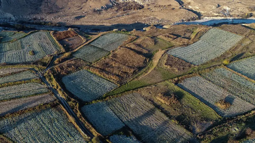 Использование беспилотников в земельном контроле узаконили летом текущего года. Фото
