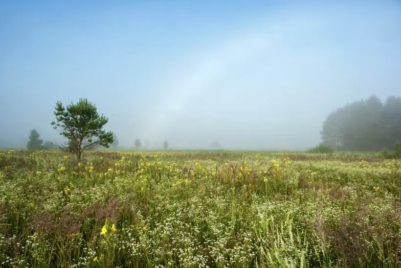 Туристический комплекс 