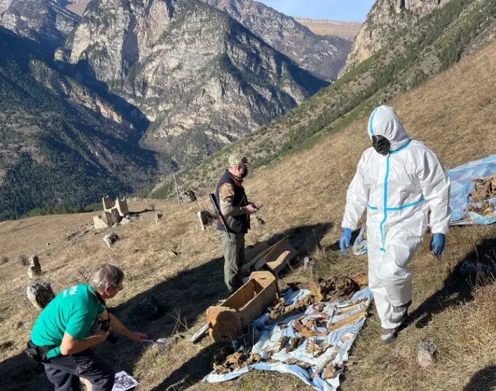 Московские ученые проведут генетическое исследование древних захоронений в Ингушетии. Фото. © Пресс-служба школы каменщиков-реставраторов 