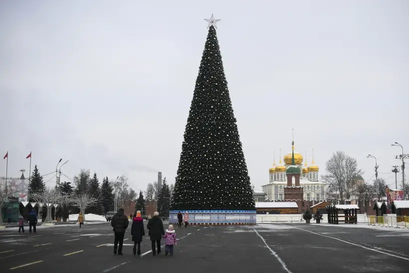 Гости Тульской области смогут получить паспорт туриста и посетить новогодние локации. Фото. © РИА Новости. Рамиль Ситдиков