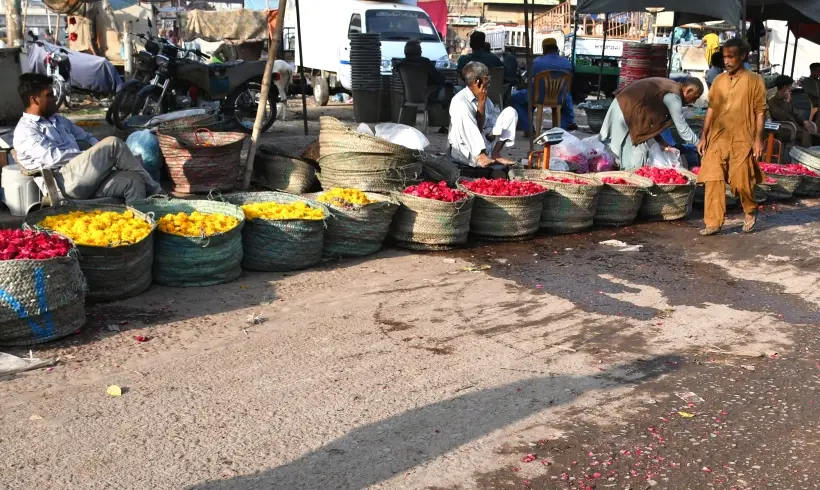 Цивилев: развитие турпотока между РФ и Пакистаном позволит запустить прямые рейсы. Фото. Продажа лепестков цветов ко Дню всех влюбленных в Карачи. © РИА Новости. Абид Мажар