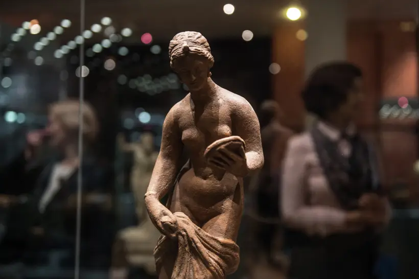 Морской гребешок – символ богини любви и красоты Афродиты. Фото