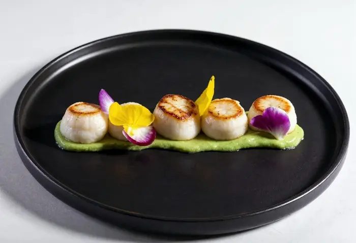 морской гребешок. фото