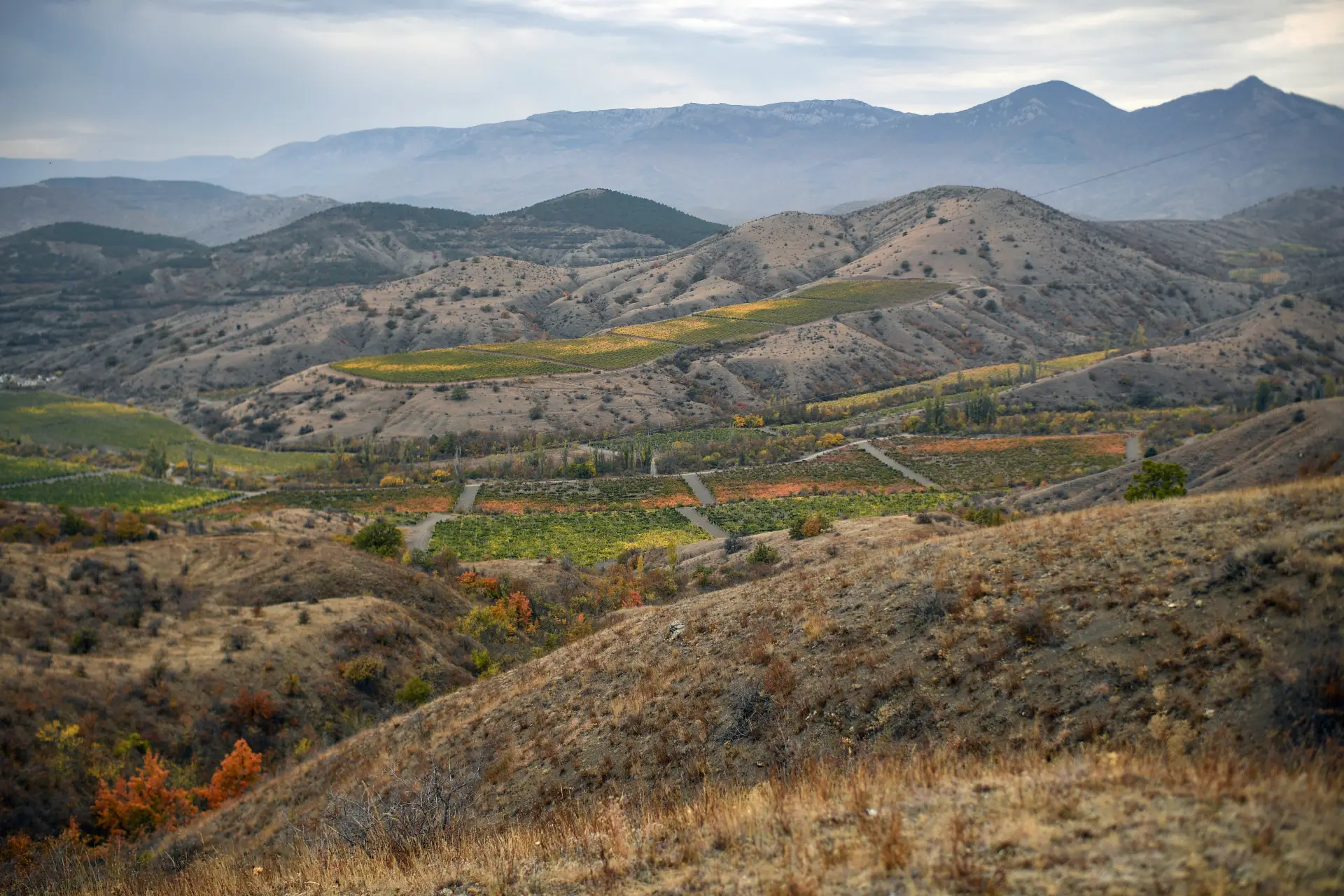 Сроки контрактов с Минобороны для получения бесплатной земли уточнили в Крыму. Фото. © РИА Новости. Константин Михальчевский