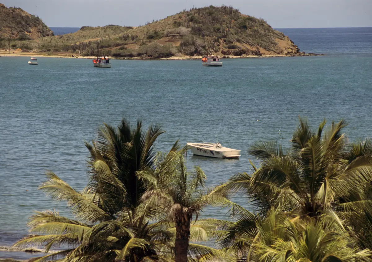 Отдых туристов из России в Венесуэле проходит в плановом режиме. Фото. Остров Маргарита в Венесуэле. © РИА Новости. Александр Поляков