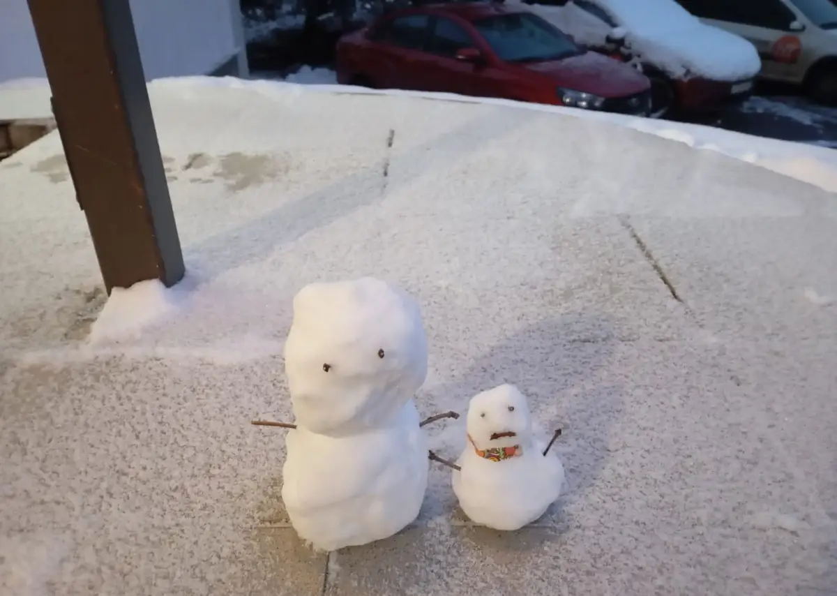 Мороз до минус 19 прогнозируется в ночь на среду в московском регионе. Фото. © 