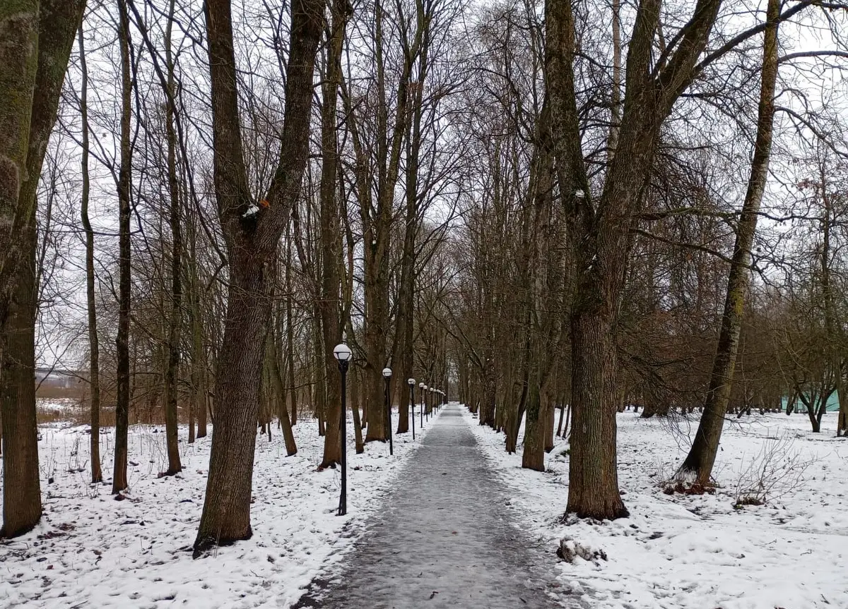 Серия циклонов с Атлантики сделает новгородский декабрь значительно теплее обычного. Фото. © 