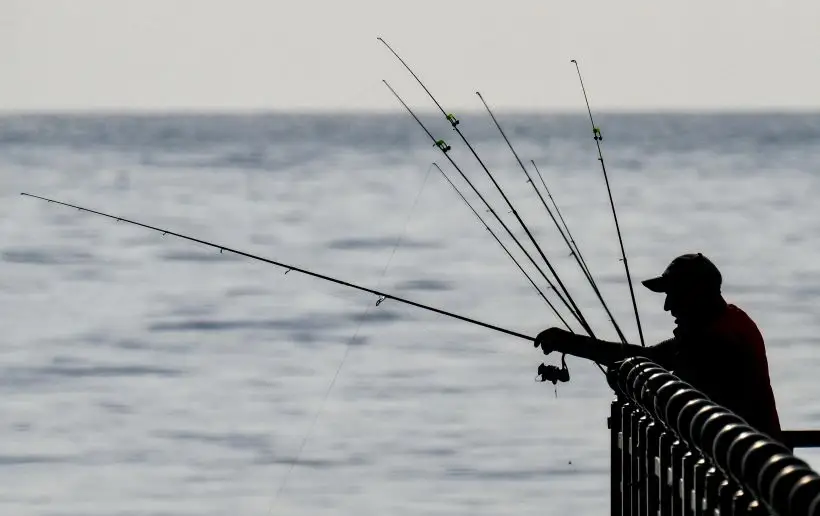 Мужчине, увлекающемуся рыбалкой, может понравиться электронный определитель клева. Фото