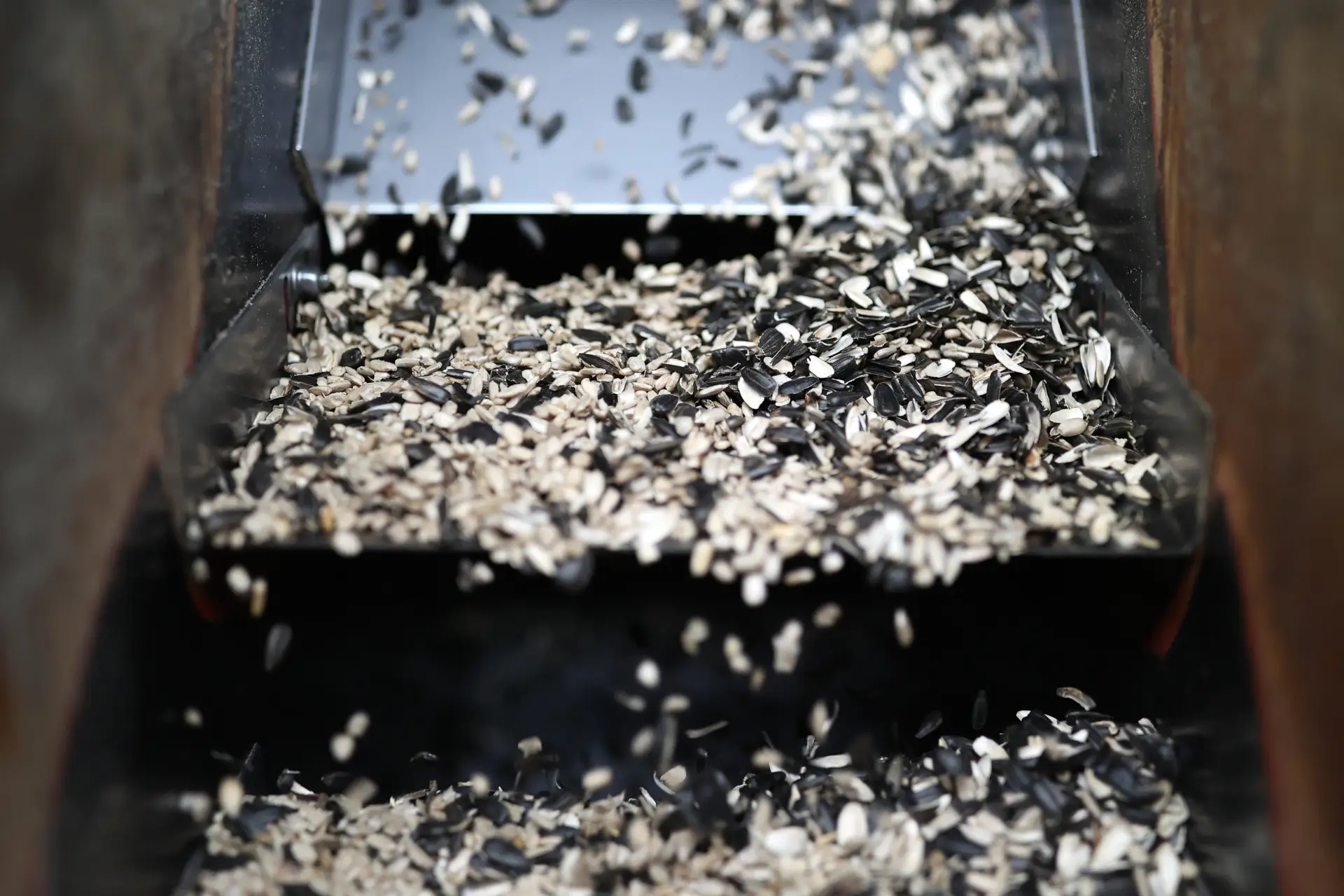 Курганская область в 2025г направила на регпрограммы развития АПК и села 1,1 млрд рублей. Фото. © РИА Новости. Виталий Тимкив