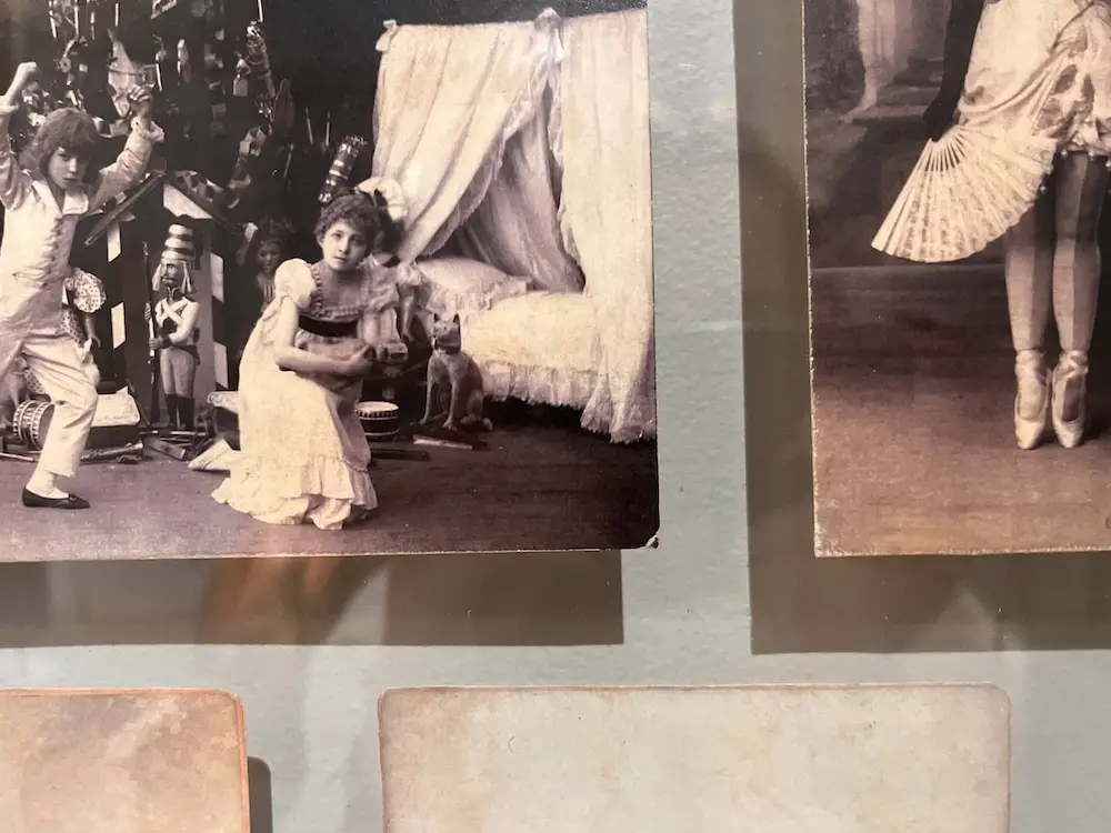 Выставка о Чайковском и Александре III открылась в Гатчинском дворце