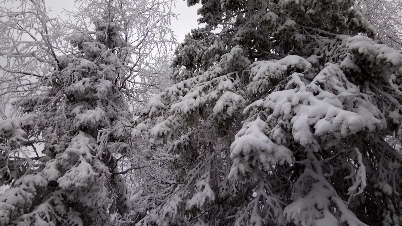Добровольцы и спасатели продолжают поиски пропавших в горах Прикамья туристов. Фото. © 