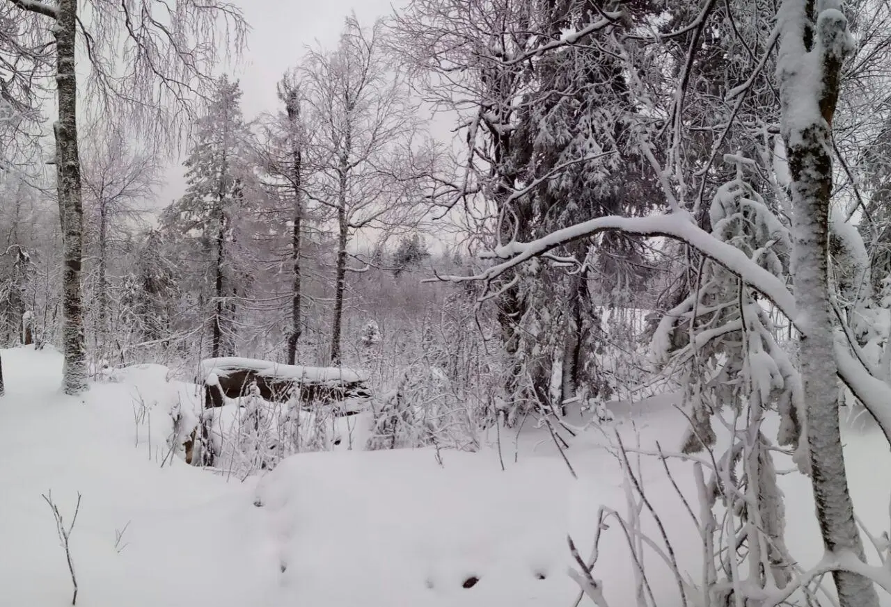 Уголовное дело возбуждено по факту исчезновения группы туристов в горах Прикамья. Фото. © 