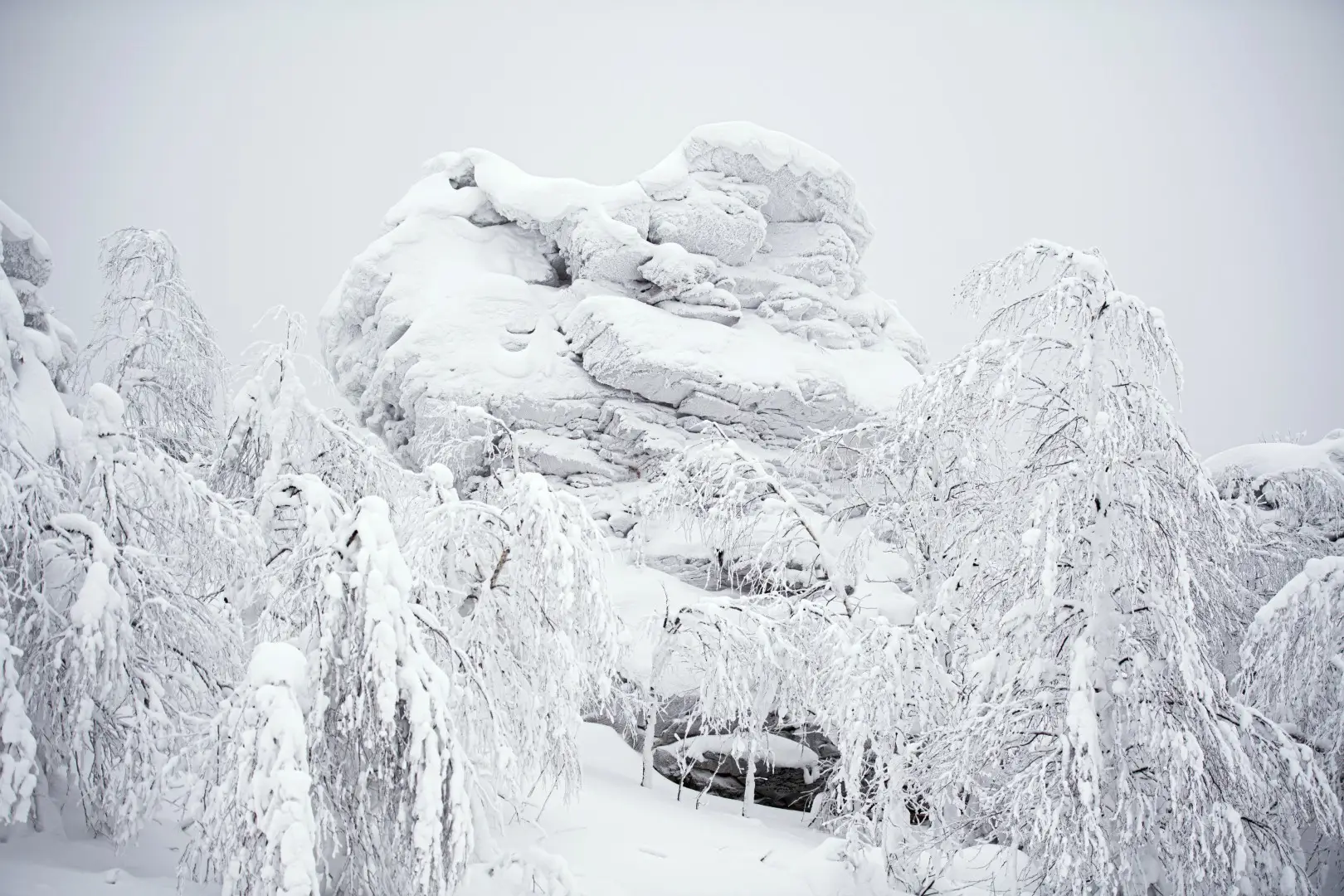 Более 20 добровольцев на снегоходах присоединились к поискам пропавших туристов в Прикамье. Фото. © РИА Новости. Владимир Астапкович
