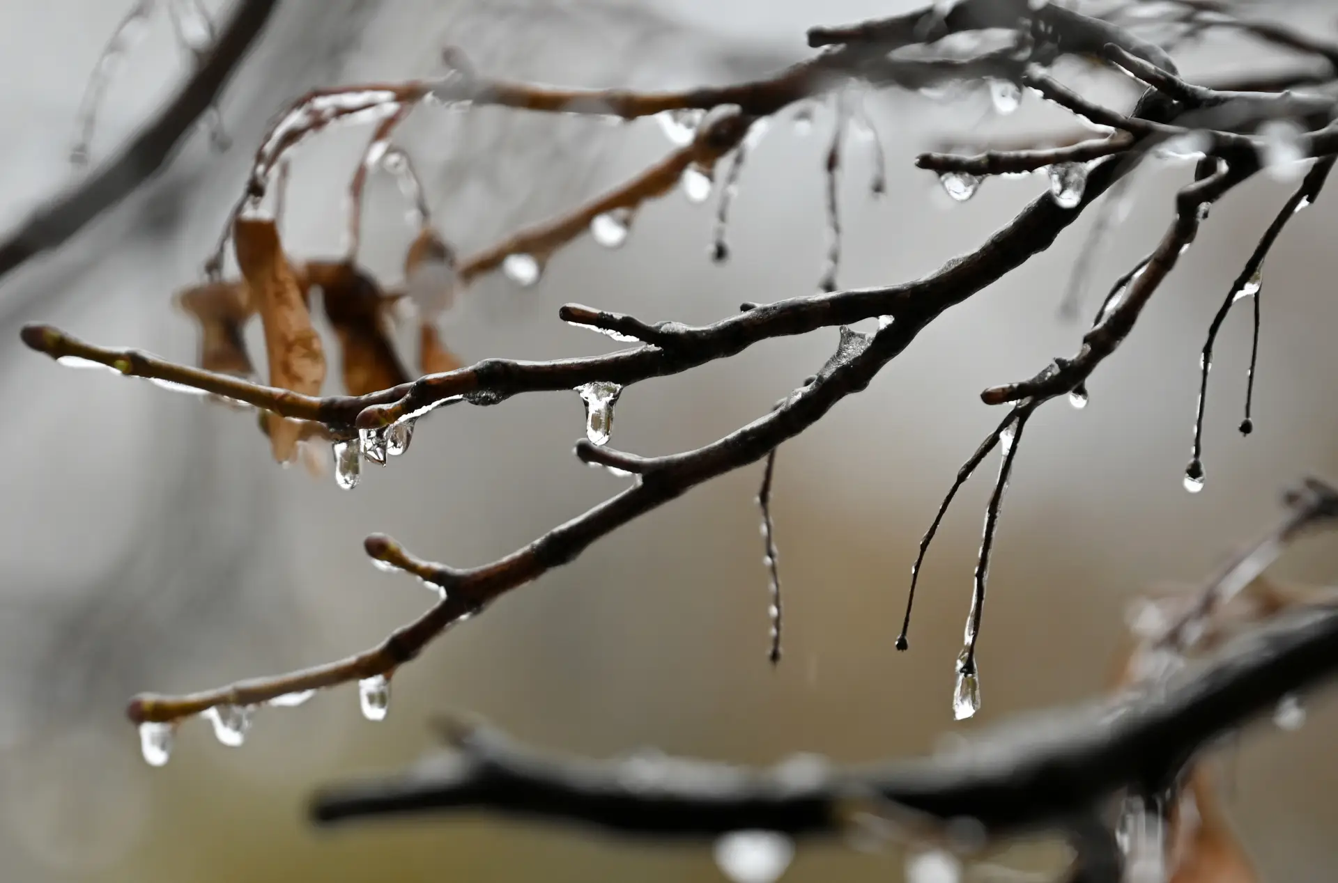 В Москве объявлен 