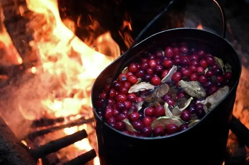 В сангрию к цитрусовым можно добавить клюкву. Фото