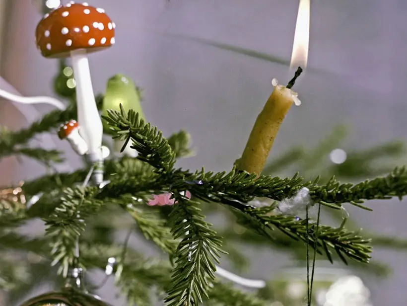 Пожар, отравление, травма: 6 "нельзя", чтобы отпраздновать Новый год безопасно