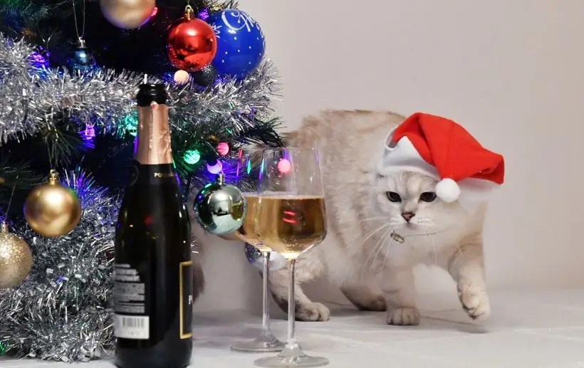 Декор новогоднего стола создает нужную атмосферу и одновременно показывает уважение хозяев дома к символу года. Фото