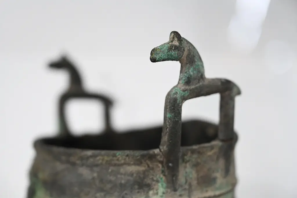 © Пресс-служба ТГУ. Владимир Костенков