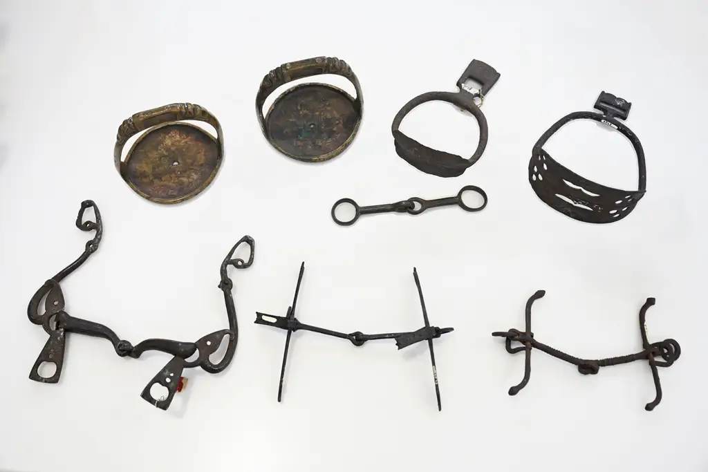 © Пресс-служба ТГУ. Владимир Костенков