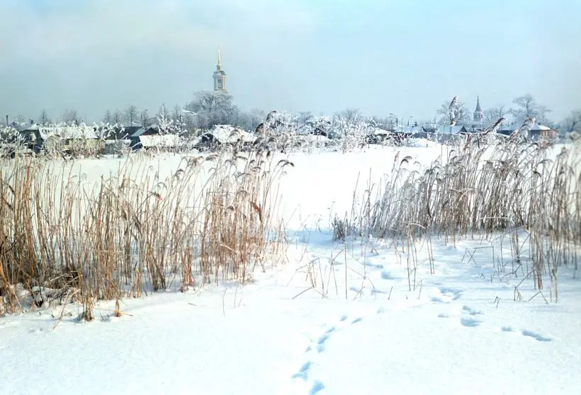Народные приметы в начале года: календарь суеверий по дням и праздникам. Фото. © РИА Новости. Юрий Кавер