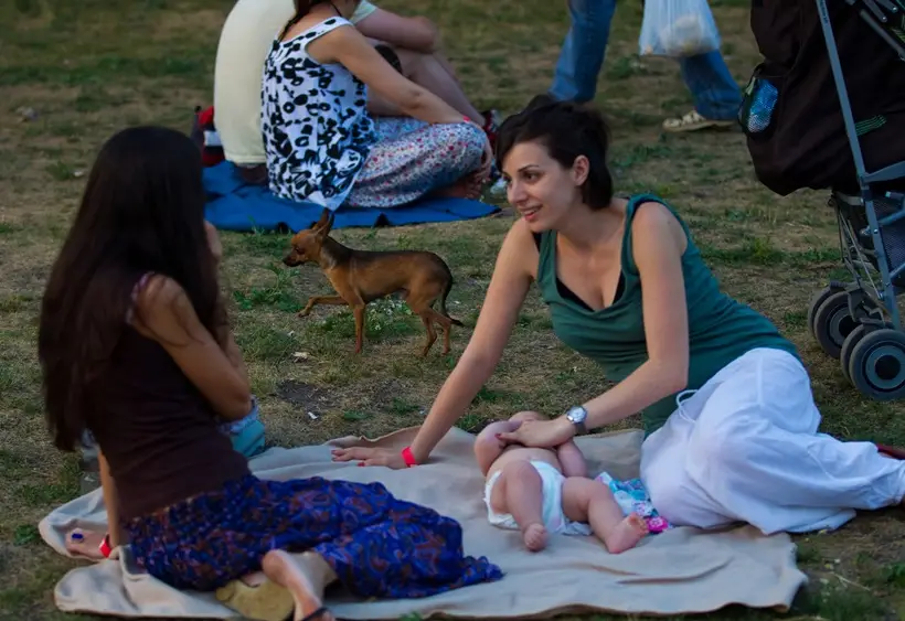 пикник. фото