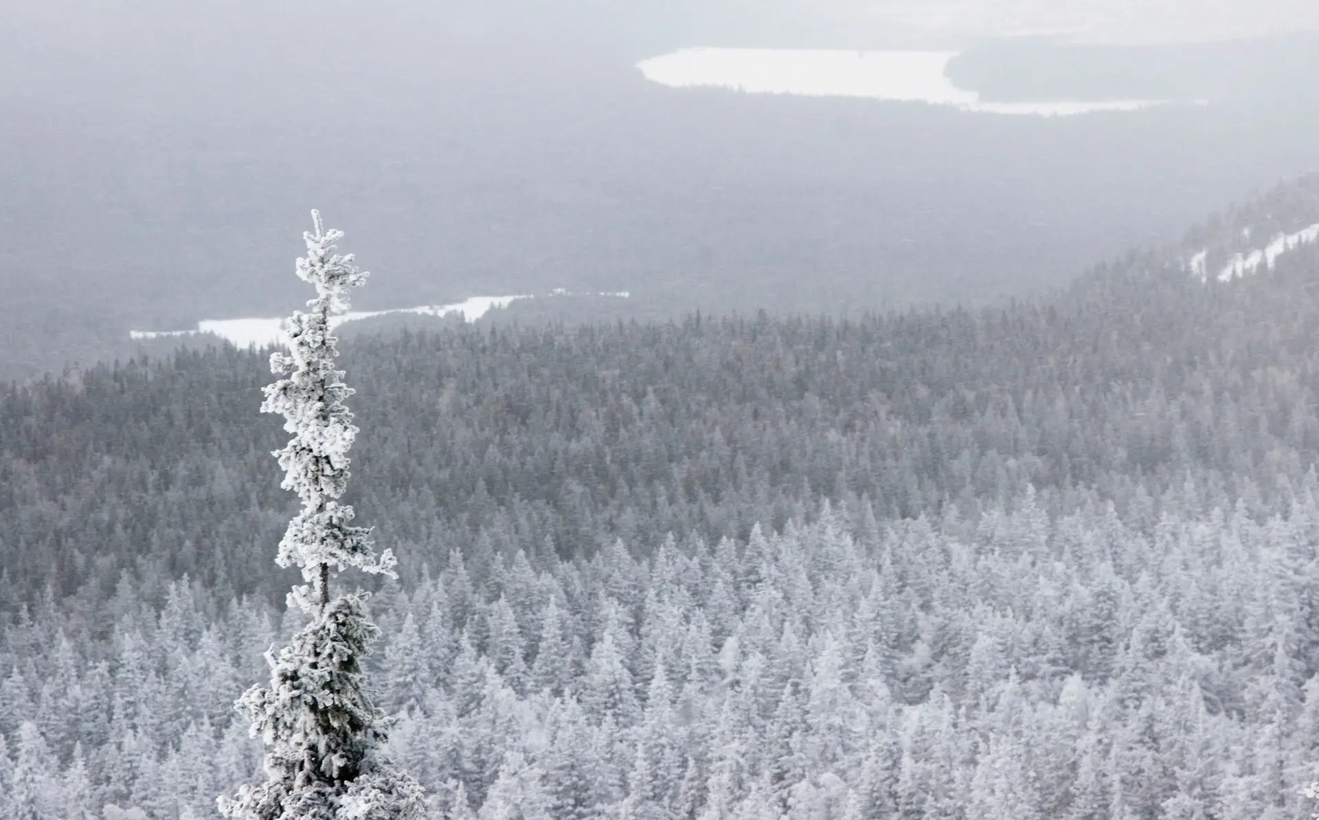 Черная скала стала самым посещаемым местом Таганая в новогодние каникулы. Фото. © РИА Новости. Александр Алпаткин