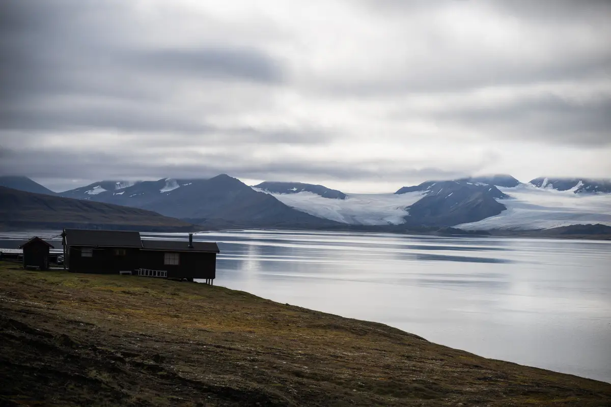Разнообразие птиц на Шпицбергене выросло за 35-40 лет. Фото. © РИА Новости. Владимир Астапкович