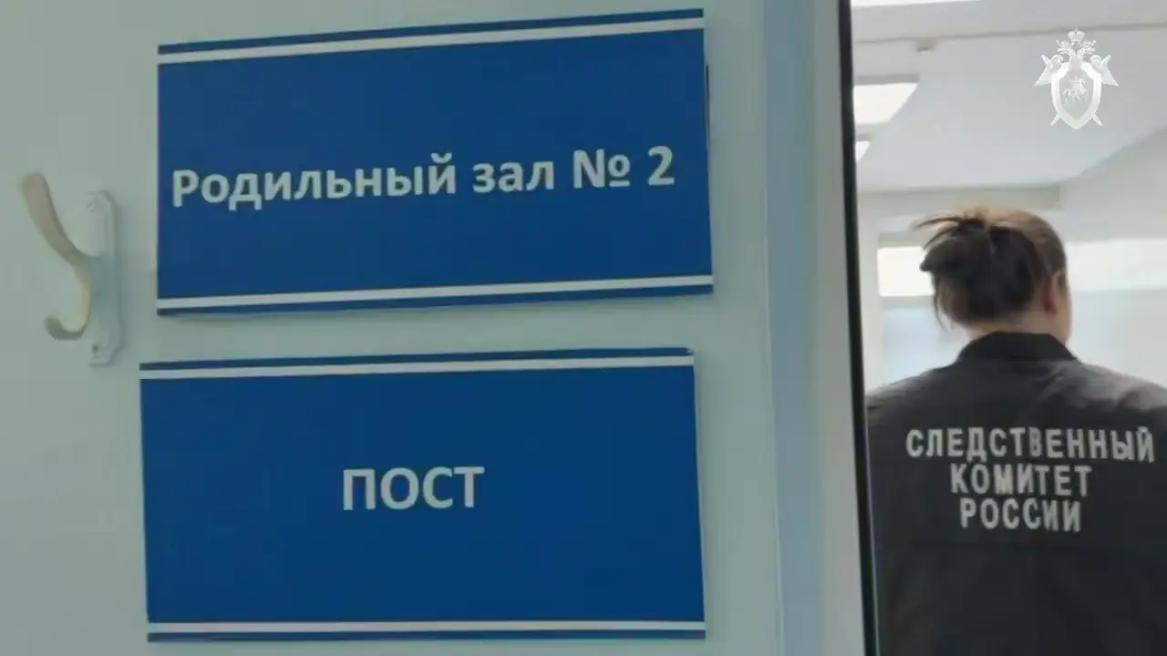 Все родильные отделения Кузбасса проверят до 9 февраля - власти. Фото. © РИА Новости. Следственный комитет РФ