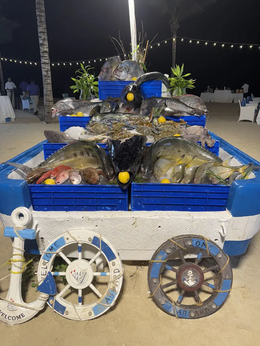 Оман: когда ехать, что смотреть и другая полезная информация о стране и отдыхе