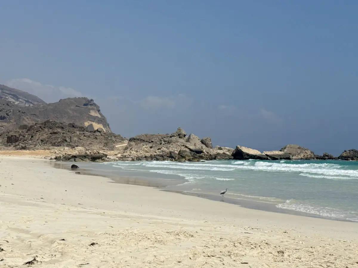 Оман: когда ехать, что смотреть и другая полезная информация о стране и отдыхе