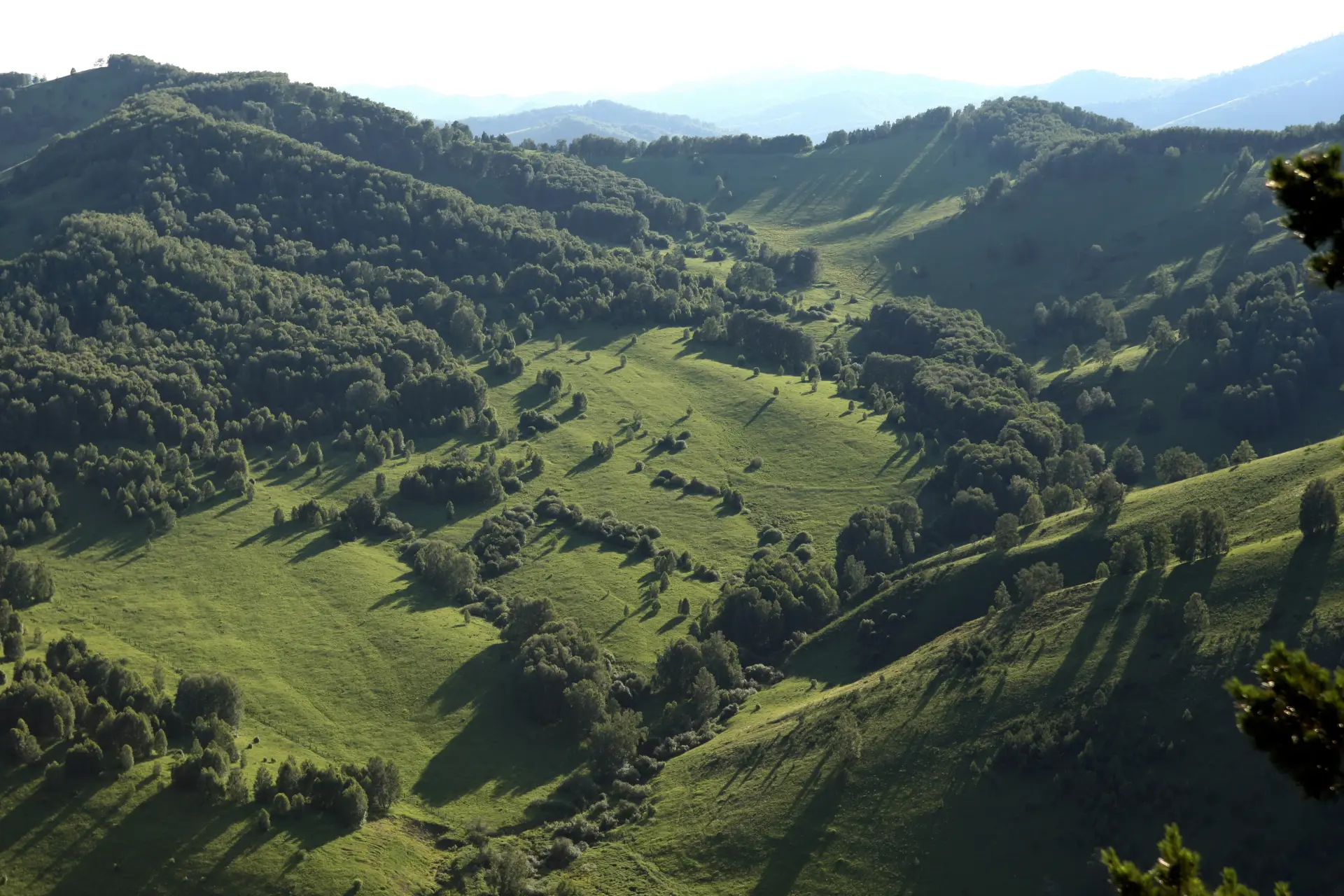 Около 250 тыс. человек посетили в 2025г игорную зону в Алтайском крае. Фото. © РИА Новости. Сергей Белокон