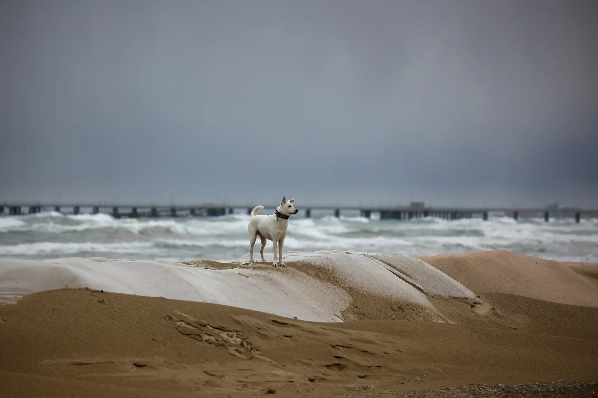 Попова: пляжи Анапы для отдыха пока открывать нельзя. Фото. © РИА Новости. Виталий Тимкив
