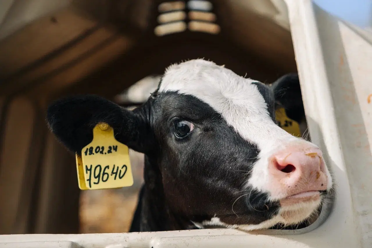 Агрохолдинг 