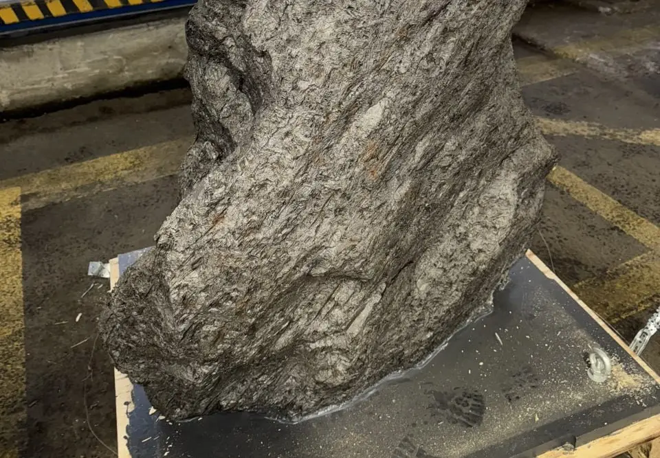 Осколок одного из самых крупных в истории Земли метеоритов не дали вывезти из Петербурга в Британию. Фото. © Пресс-служба ФТС России