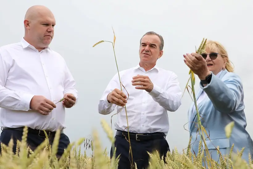 Краснодарский край в 2026г сохранит площади под яровыми на уровне 1,8 млн га