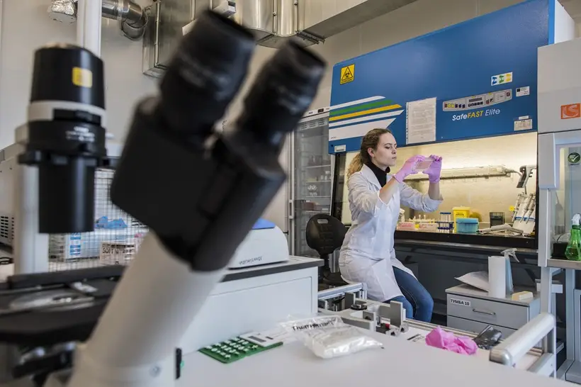 Подмосковный город Долгопрудный получил статус наукограда. Фото. © РИА Новости. Сергей Пятаков