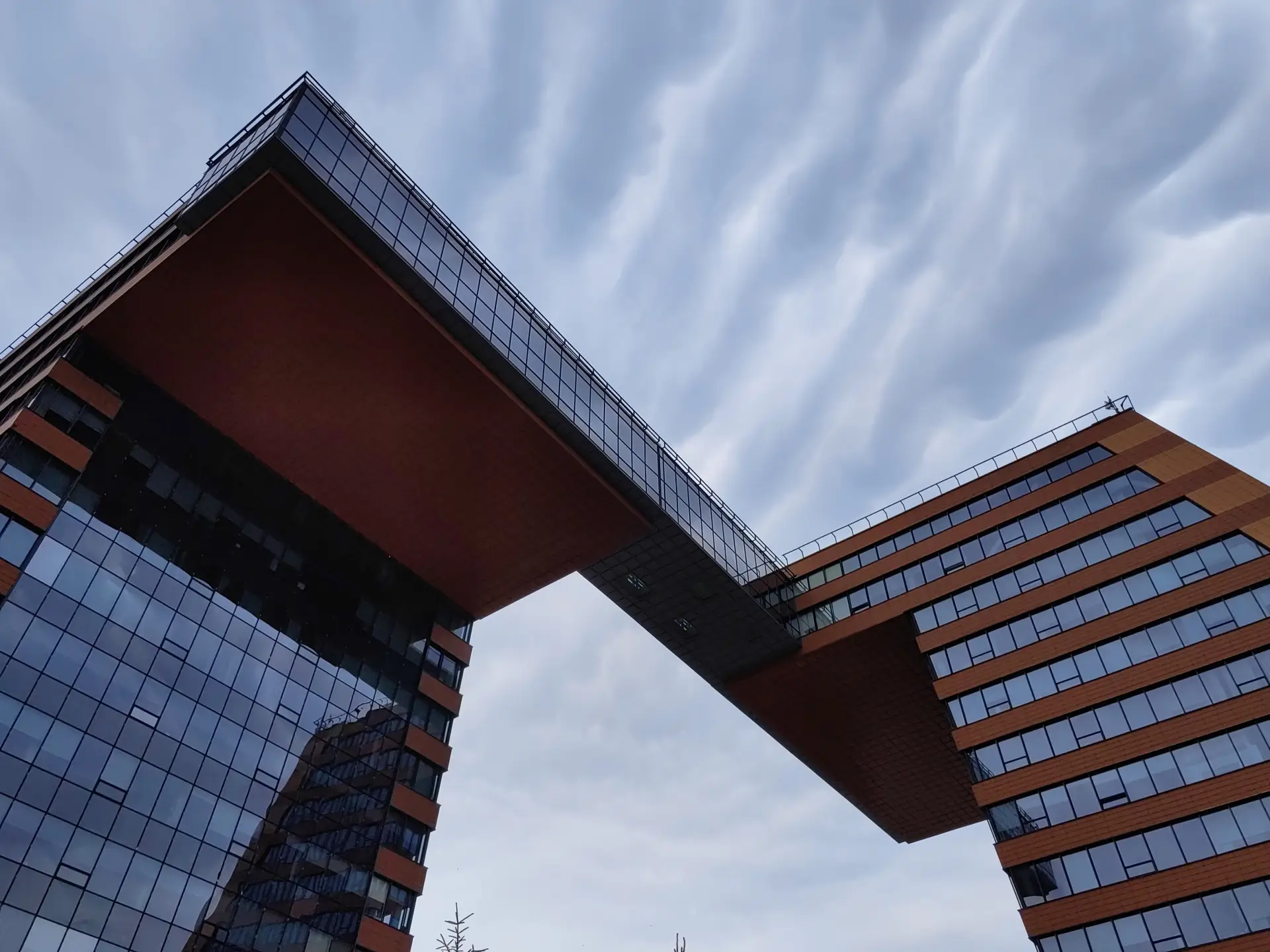 Новосибирский технопарк открыл креативный кластер. Фото. © 