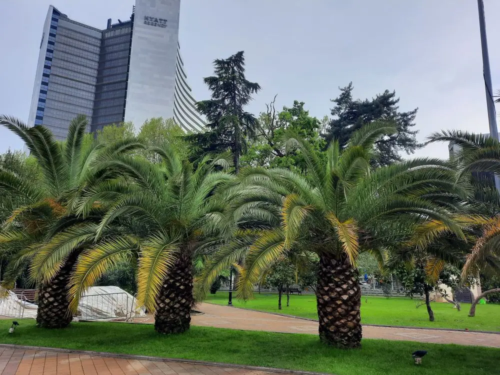 Сочи. © "Интерфакс". Елена Плеханова