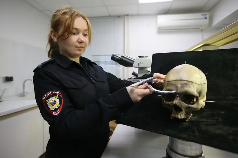 Исследование облика человека по черепу возобновлено в ЭКЦ МВД по Ростовской области. Фото. © 