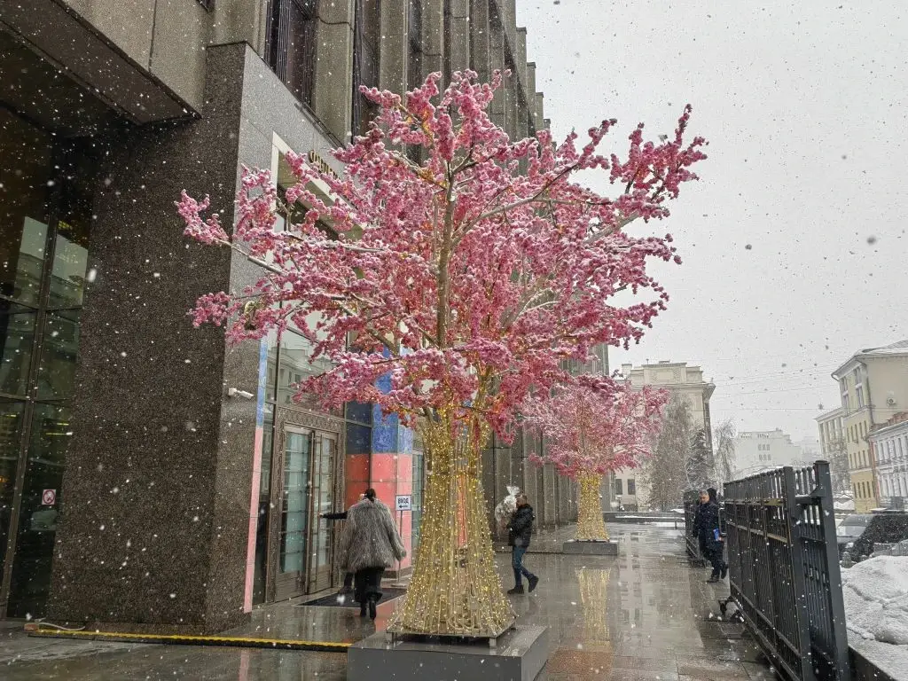 Снег будет идти в Москве до конца дня четверга. Фото. © 