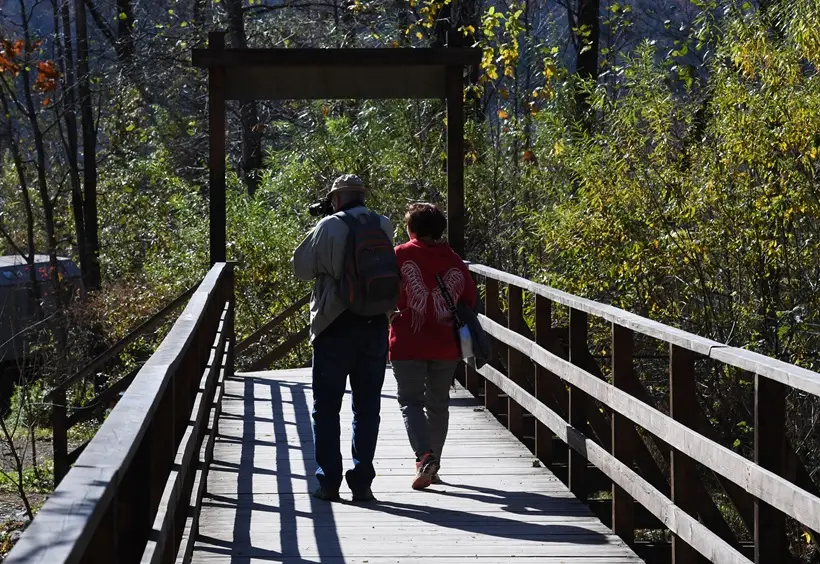 Почти два десятка туристических троп откроют на Дальнем Востоке до конца года. Фото. © РИА Новости. Виталий Аньков