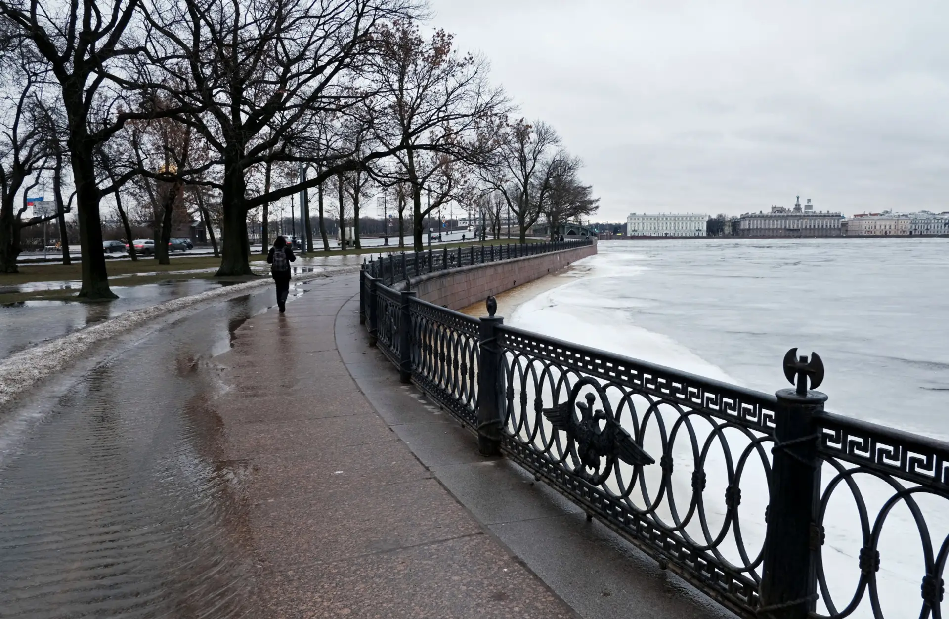 В Петербурге похолодает, возможен мокрый снег. Фото. © РИА Новости. Алексей Даничев