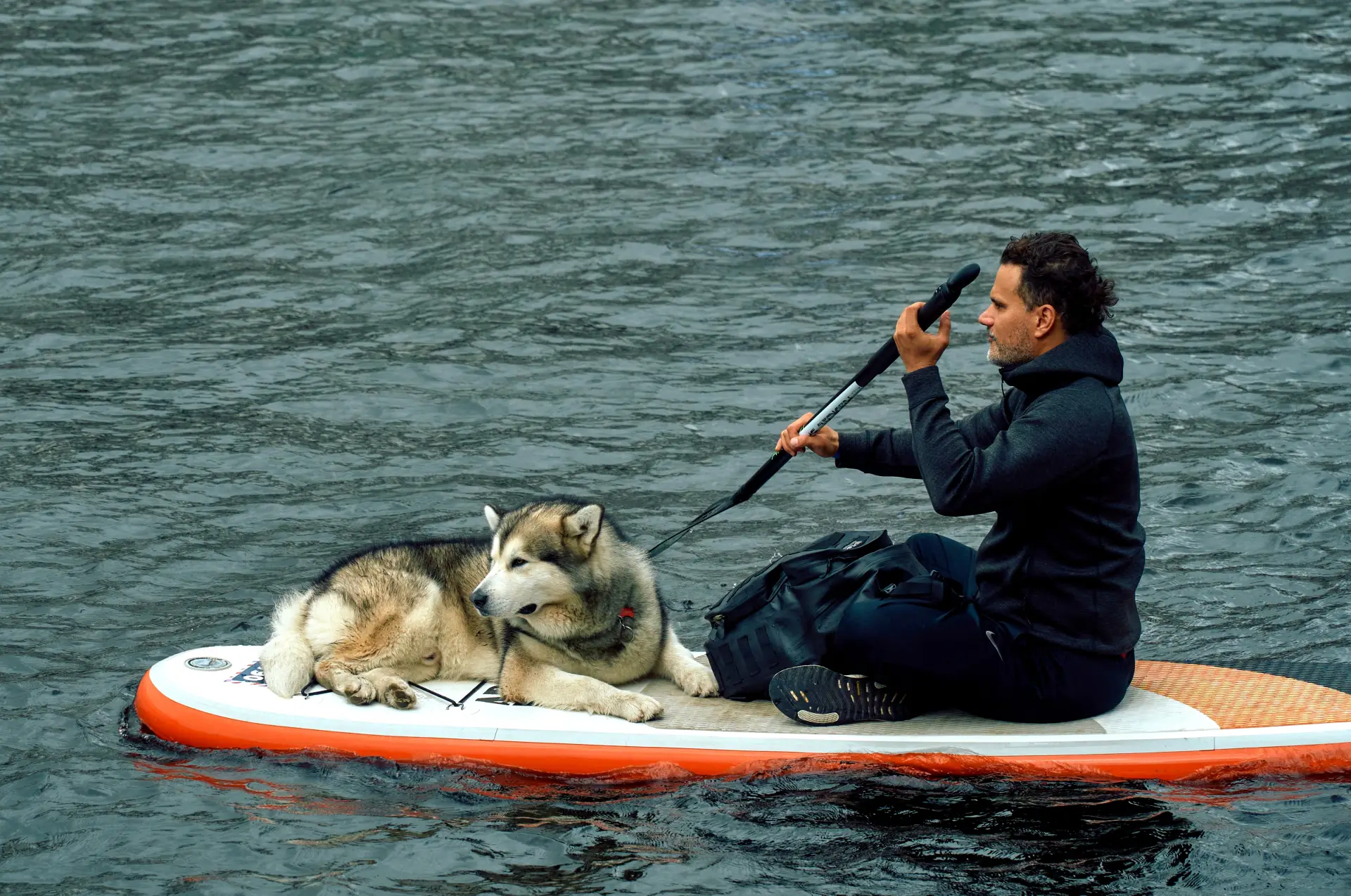 Сап-фестиваль 