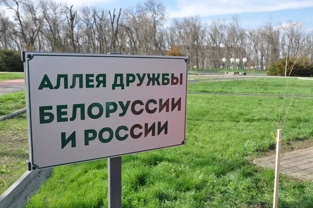 Аллея российско-белорусской дружбы появилась в Зернограде Ростовской области