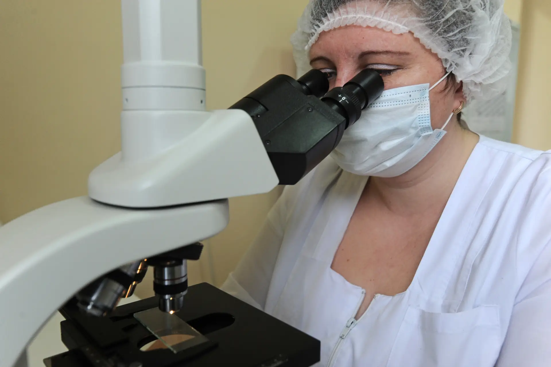 В РФ регистрируются единичные случаи дирофиляриоза - Роспотребнадзор. Фото. © РИА Новости. Алексей Сухоруков